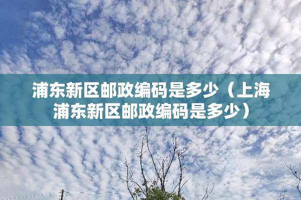 浦东新区邮政编码是多少（上海浦东新区邮政编码是多少）
