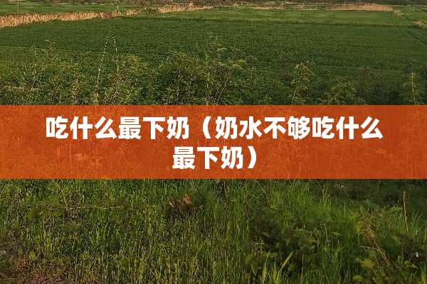 吃什么最下奶（奶水不够吃什么最下奶）