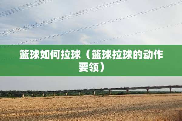 篮球如何拉球（篮球拉球的动作要领）