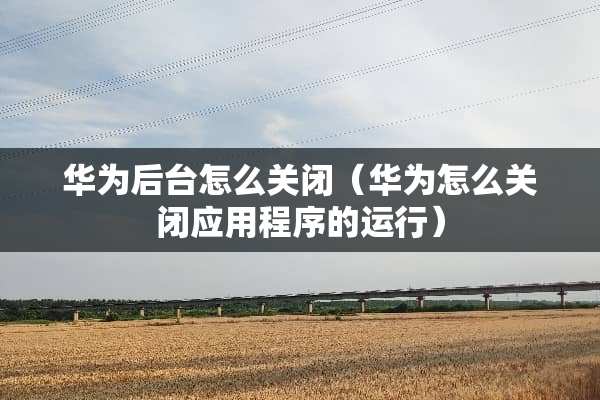 华为后台怎么关闭（华为怎么关闭应用程序的运行）