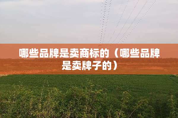 哪些品牌是卖商标的（哪些品牌是卖牌子的）