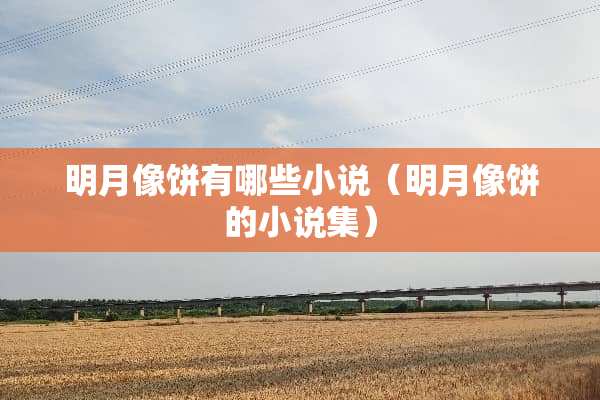 明月像饼有哪些小说（明月像饼的小说集）