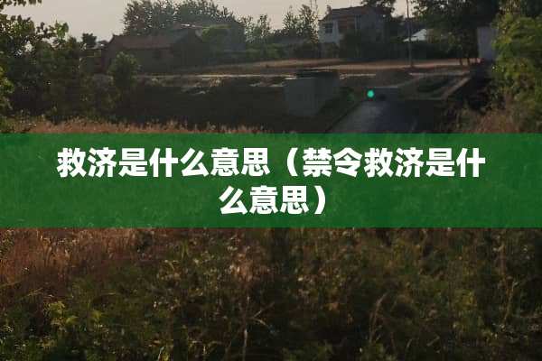 救济是什么意思（禁令救济是什么意思）