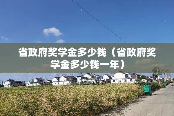 省**奖学金多少钱（省**奖学金多少钱一年）