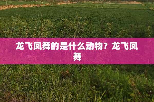龙飞凤舞的是什么动物？龙飞凤舞