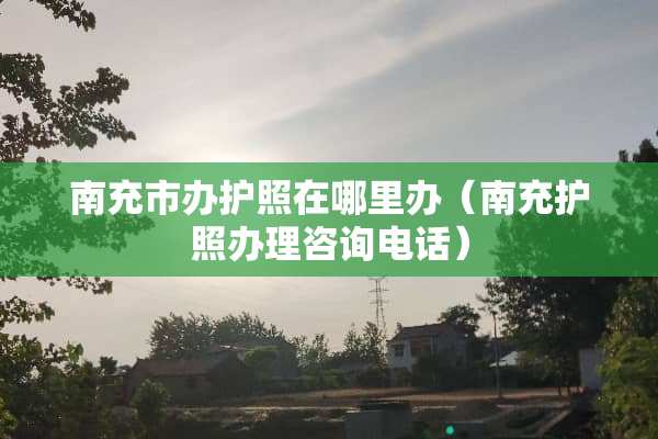 南充市办护照在哪里办（南充护照办理咨询电话）