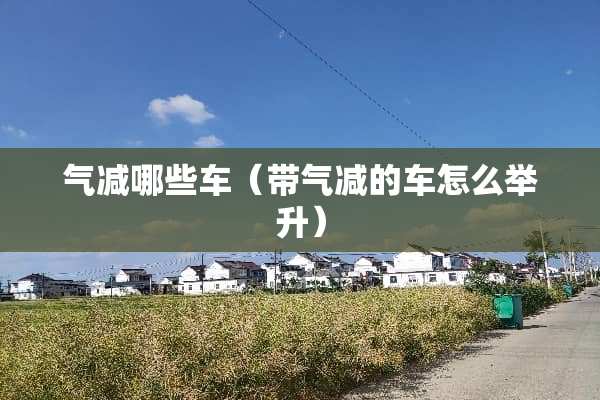 气减哪些车（带气减的车怎么举升）
