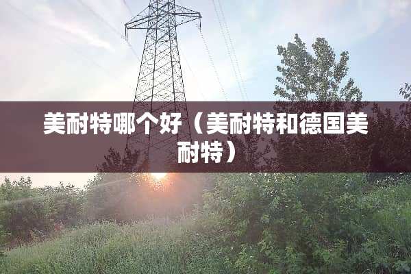 美耐特哪个好（美耐特和德国美耐特）