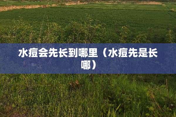 水痘会先长到哪里（水痘先是长哪）