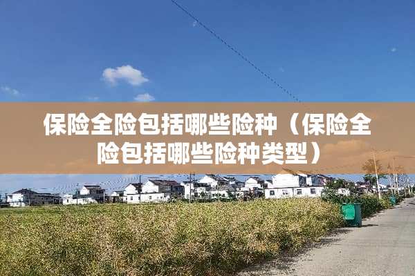 保险全险包括哪些险种（保险全险包括哪些险种类型）