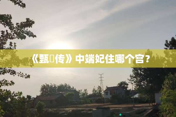 《甄嬛传》中端妃住哪个宫？