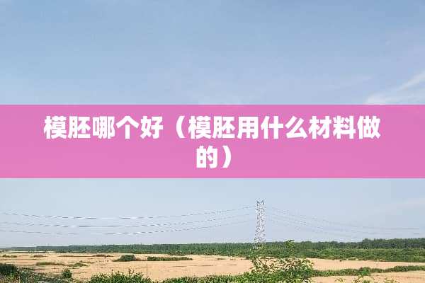 模胚哪个好（模胚用什么材料做的）
