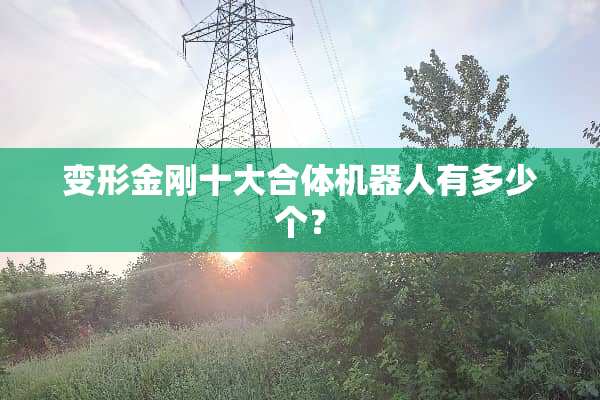 变形金刚十大合体机器人有多少个？