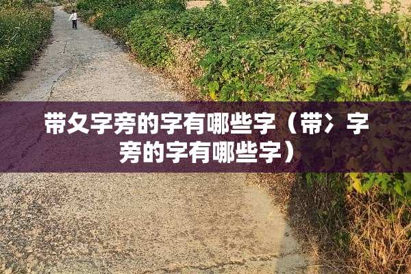 带夂字旁的字有哪些字（带冫字旁的字有哪些字）