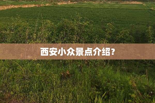 西安小众景点介绍？