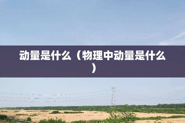 动量是什么（物理中动量是什么）