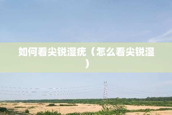 如何看尖锐湿疣（怎么看尖锐湿）