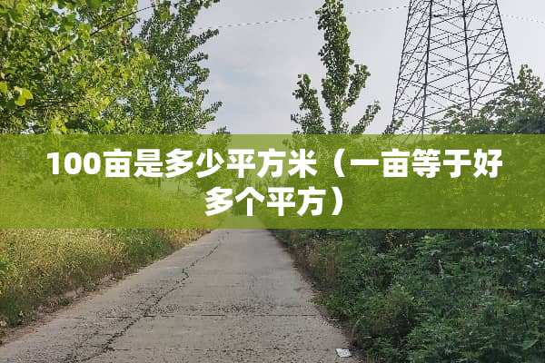 100亩是多少平方米（一亩等于好多个平方）