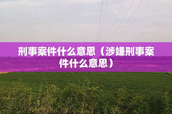 刑事案件什么意思（涉嫌刑事案件什么意思）