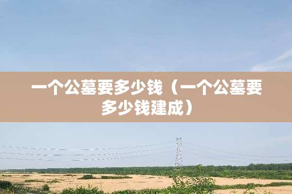 一个公墓要多少钱（一个公墓要多少钱建成）