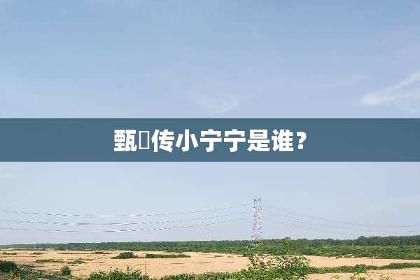 甄嬛传小宁宁是谁？