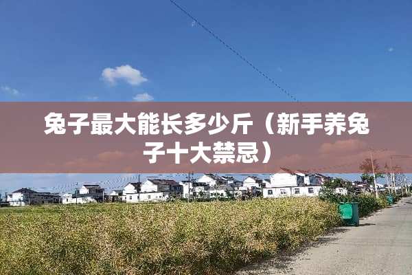 兔子最大能长多少斤（新手养兔子十**忌）