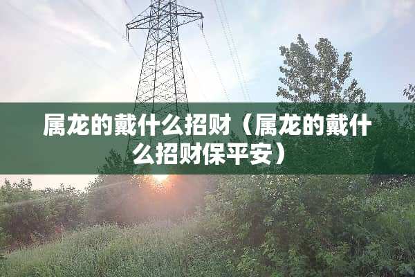 属龙的戴什么招财（属龙的戴什么招财保平安）