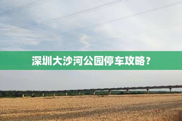 深圳大沙河公园停车攻略？