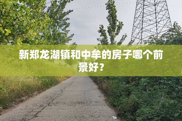 新郑龙湖镇和中牟的房子哪个前景好？