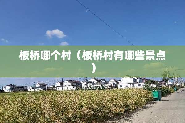 板桥哪个村（板桥村有哪些景点）