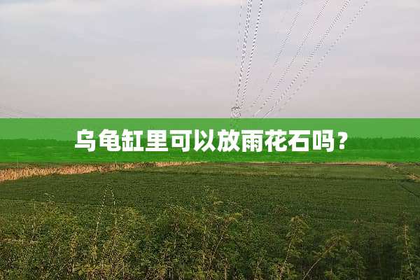乌龟缸里可以放雨花石吗？