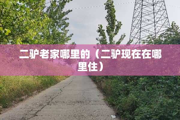 二驴老家哪里的（二驴现在在哪里住）