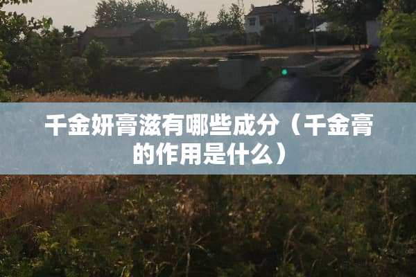 千金妍膏滋有哪些成分（千金膏的作用是什么）