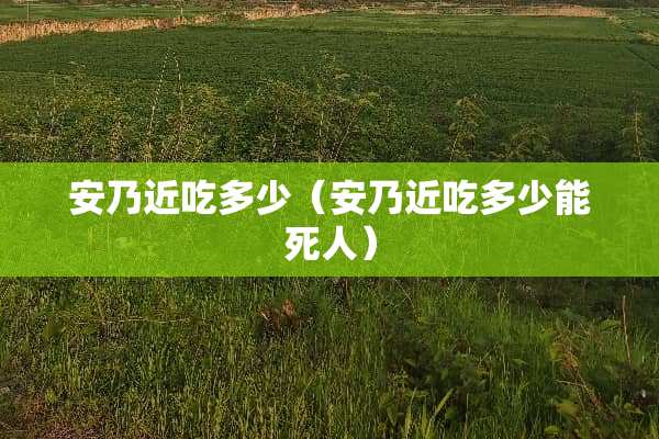 安乃近吃多少（安乃近吃多少能死人）