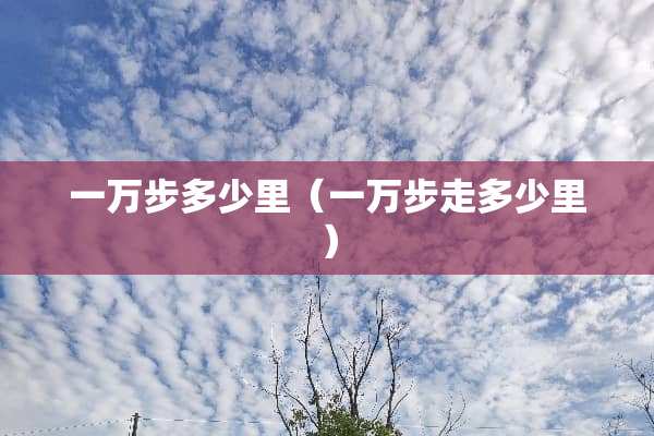 一万步多少里（一万步走多少里）