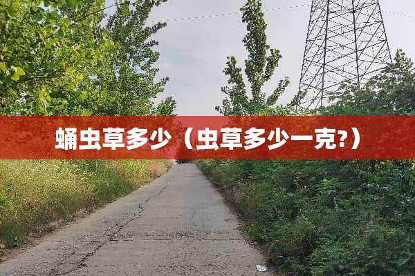 蛹虫草多少（虫草多少一克?）