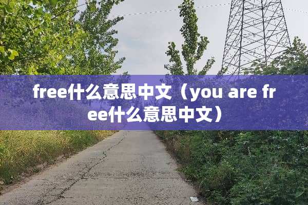 free什么意思中文（you are free什么意思中文）