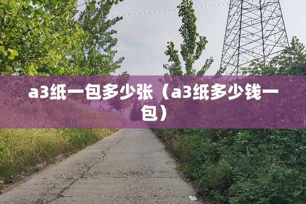 a3纸一包多少张（a3纸多少钱一包）