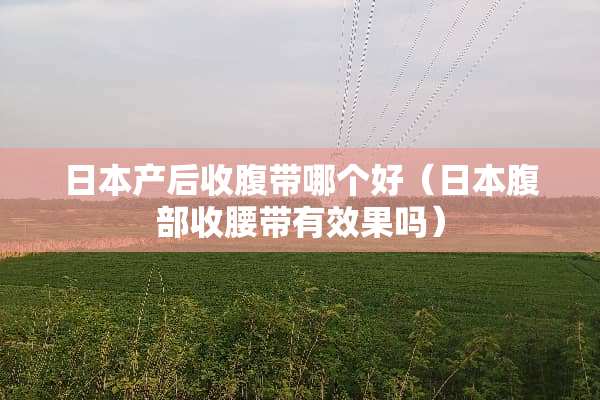 日本产后收腹带哪个好（日本腹部收腰带有效果吗）
