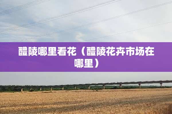 醴陵哪里看花（醴陵花卉市场在哪里）