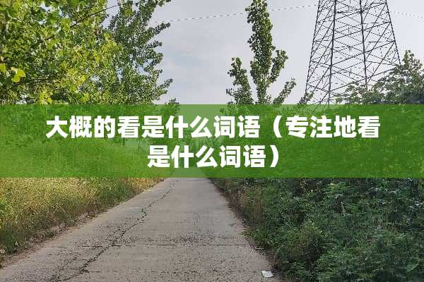 大概的看是什么词语（专注地看是什么词语）