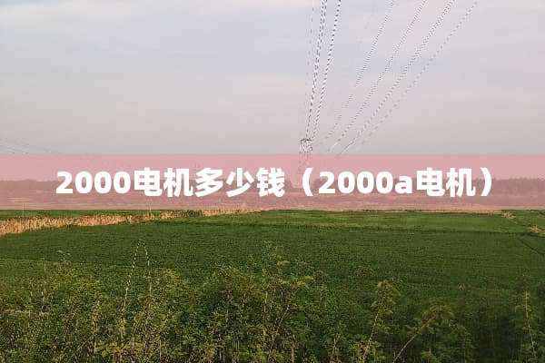 2000电机多少钱（2000a电机）