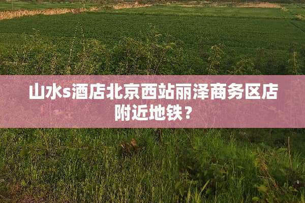 山水s酒店北京西站丽泽商务区店附近地铁？
