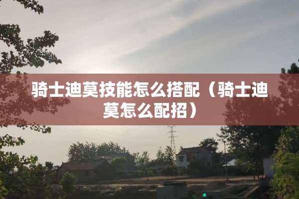 骑士迪莫技能怎么搭配（骑士迪莫怎么配招）