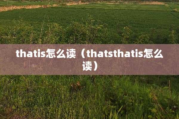 thatis怎么读（thatsthatis怎么读）