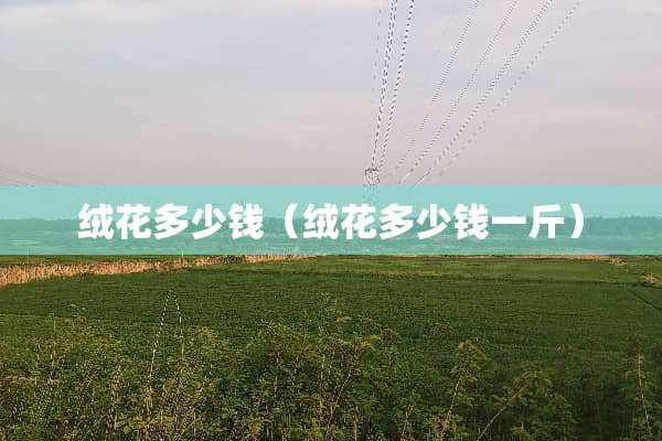 绒花多少钱（绒花多少钱一斤）