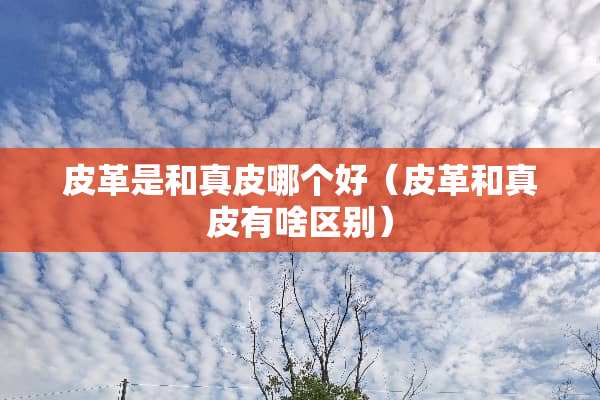 皮革是和真皮哪个好（皮革和真皮有啥区别）