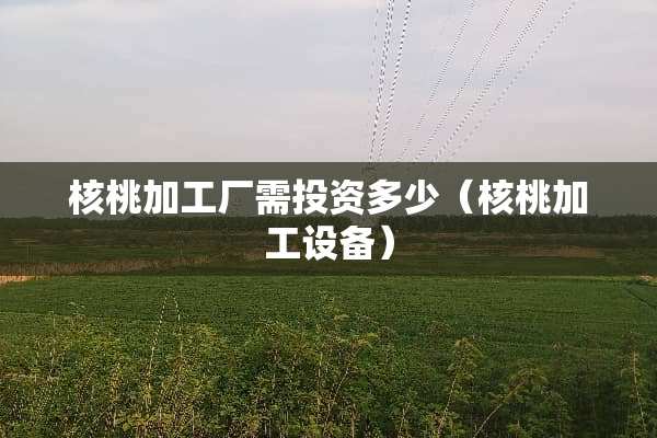 核桃加工厂需投资多少（核桃加工设备）