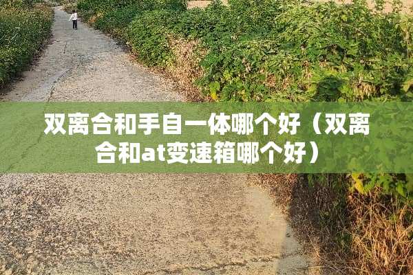 双离合和手自一体哪个好（双离合和at变速箱哪个好）