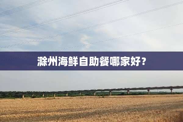 滁州海鲜自助餐哪家好？